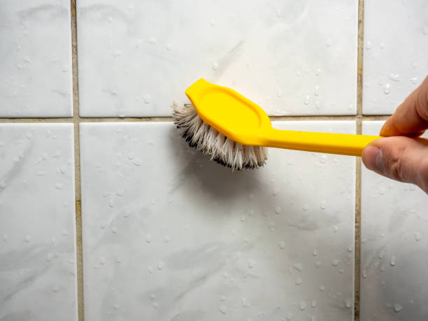 Best Black Mold Remediation in Wellington, OH