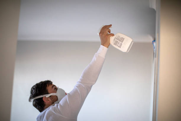 Best Mold Remediation for Specific Building Types in Wellington, OH
