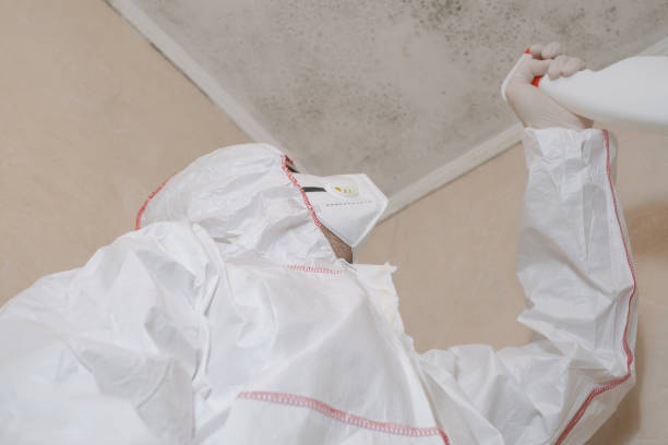 Best Residential Mold Remediation in Wellington, OH