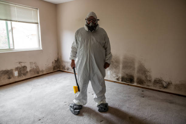 Best Emergency Mold Remediation in Wellington, OH